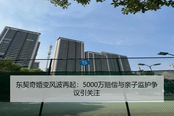 东契奇婚变风波再起：5000万赔偿与亲子监护争议引关注